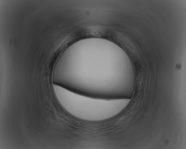 X0000097840595200803140836