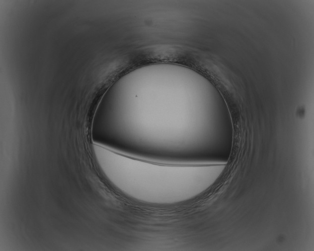 X0000097840597200803140836