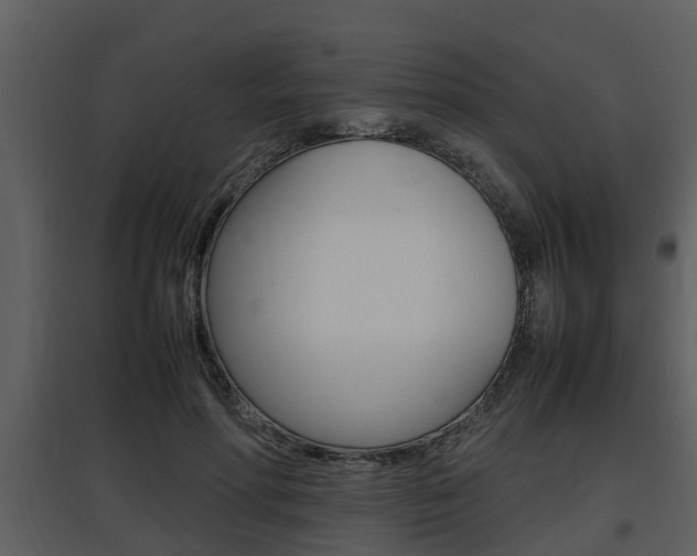 X0000097840598200803140836