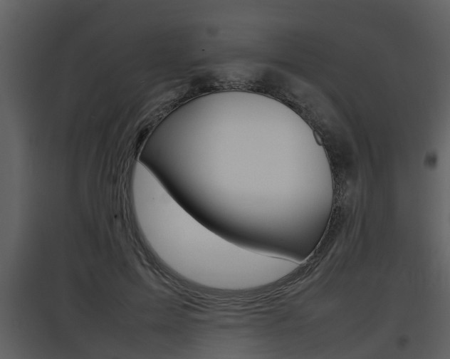 X0000097840599200803140836