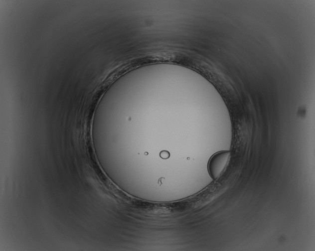X0000097840600200803140836