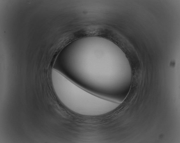 X0000097840601200803140836