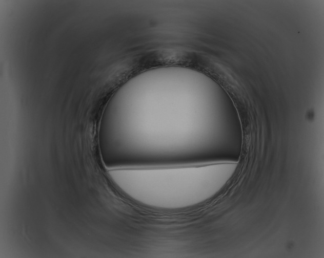 X0000097840605200803140836