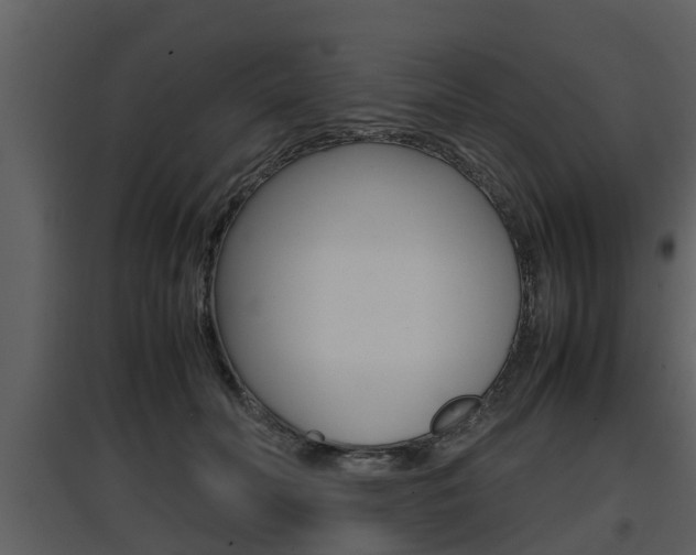 X0000097840606200803140836