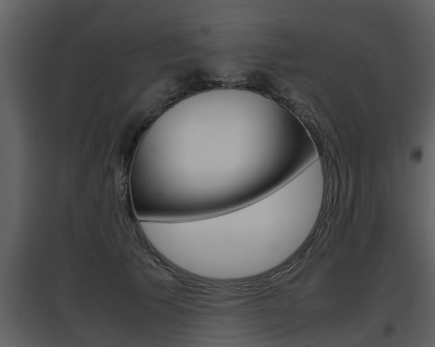X0000097840609200803140836