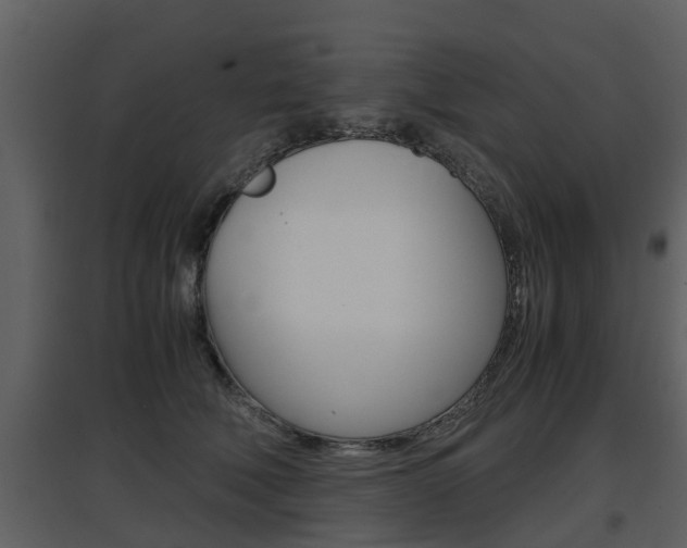 X0000097840610200803140836