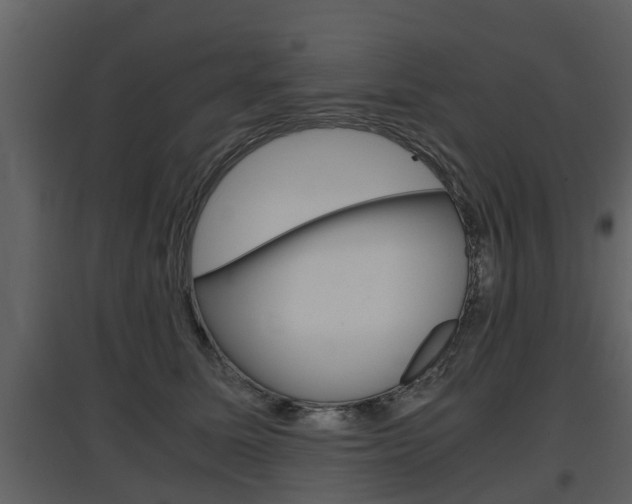 X0000097840611200803140836