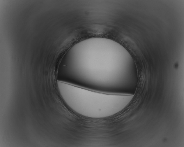 X0000097840612200803140836