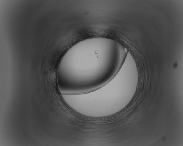 X0000097840613200803140836