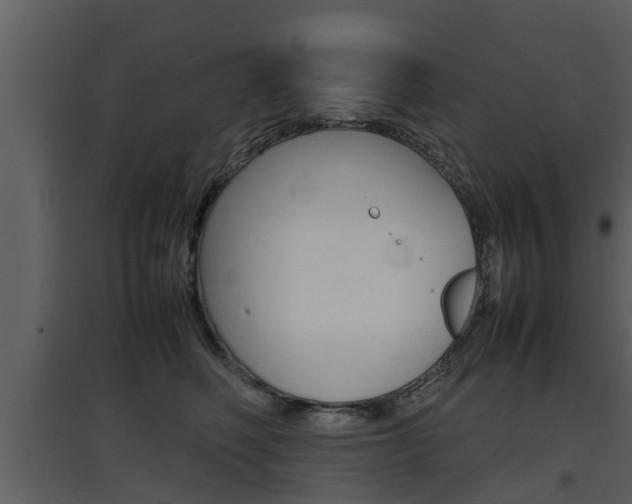 X0000097840614200803140836