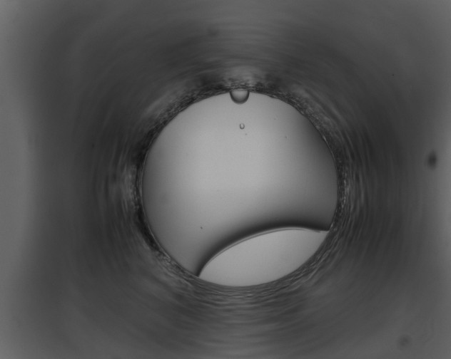 X0000097840616200803140836