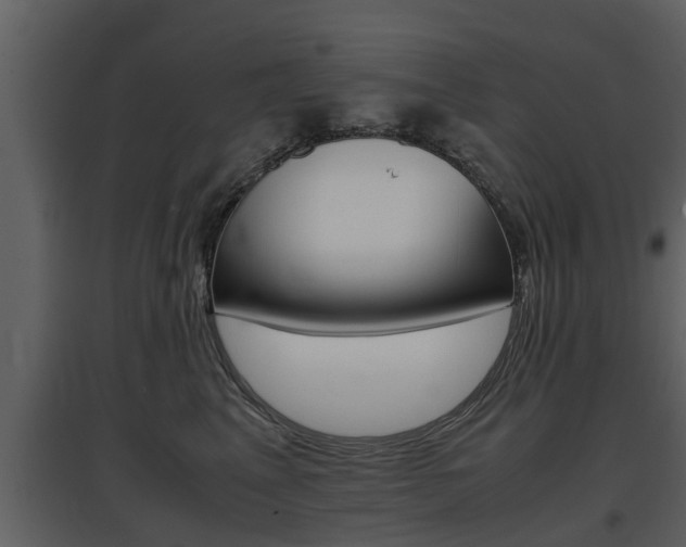 X0000097840617200803140836