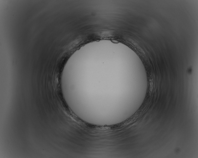 X0000097840618200803140836