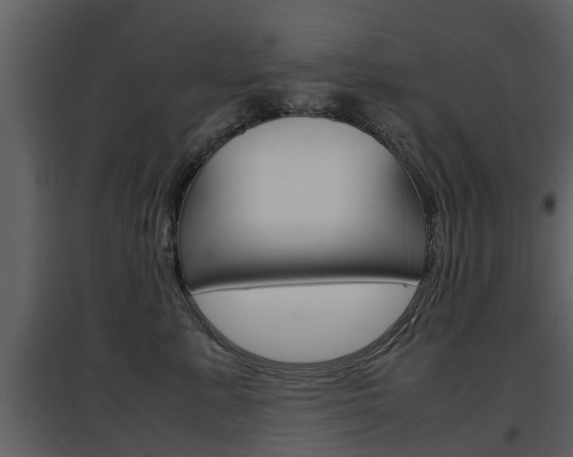 X0000097840619200803140836