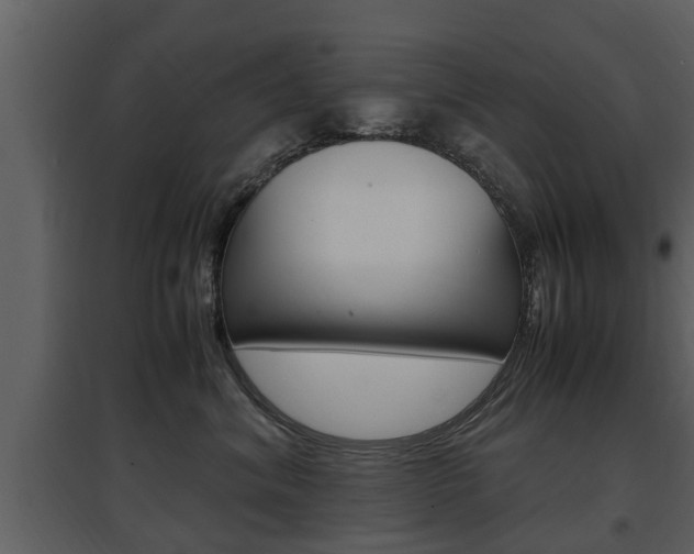 X0000097840620200803140836