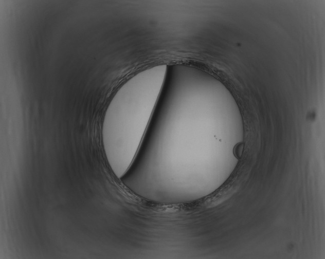 X0000097840624200803140836