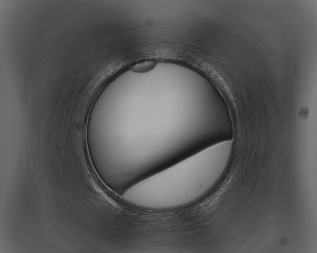 X0000097840625200803140835