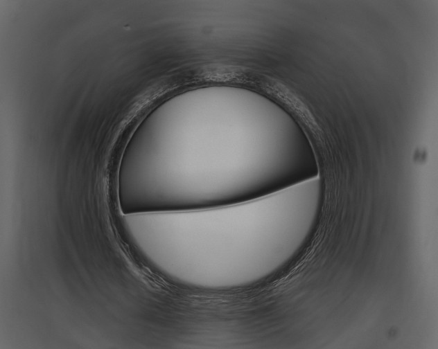 X0000097840626200803140835