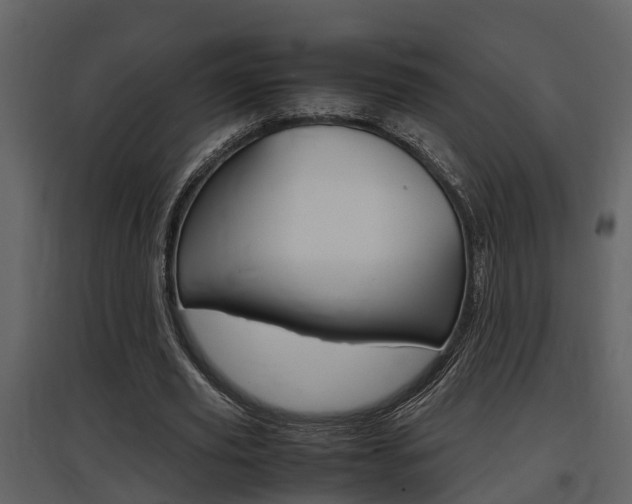 X0000097840629200803140835