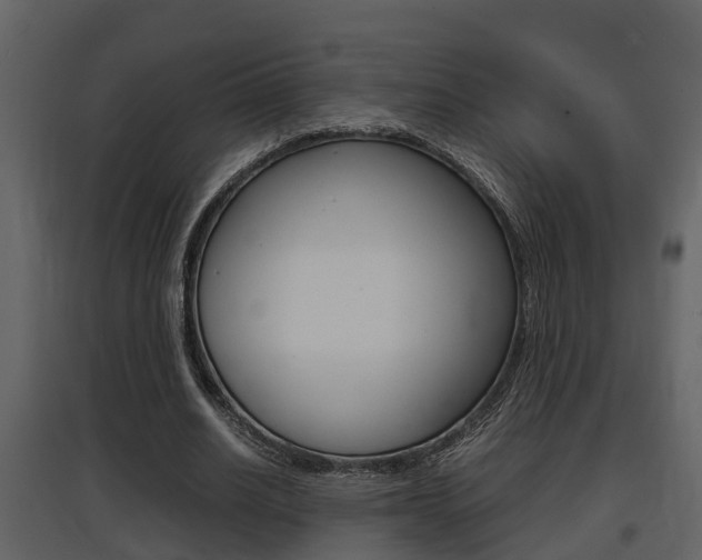 X0000097840630200803140835