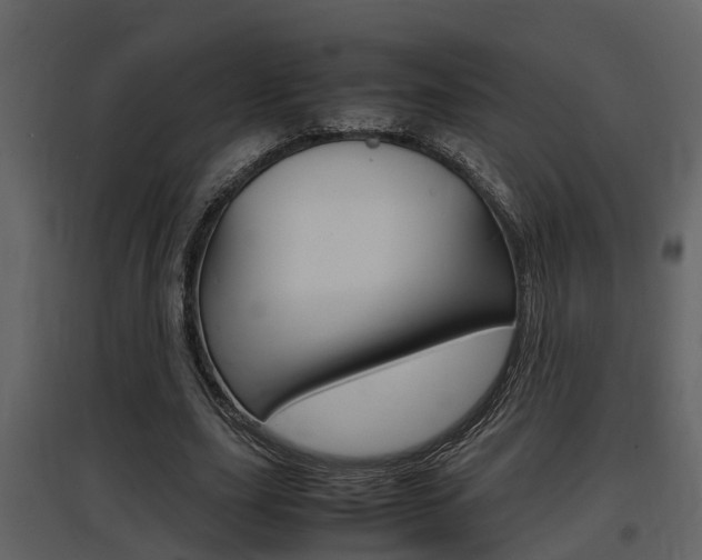X0000097840631200803140835
