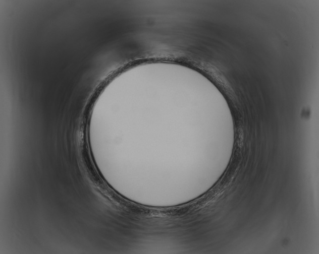 X0000097840632200803140835