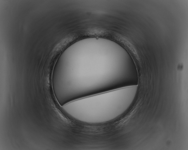 X0000097840633200803140835