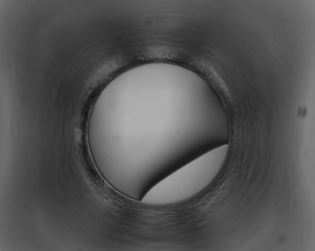 X0000097840635200803140835