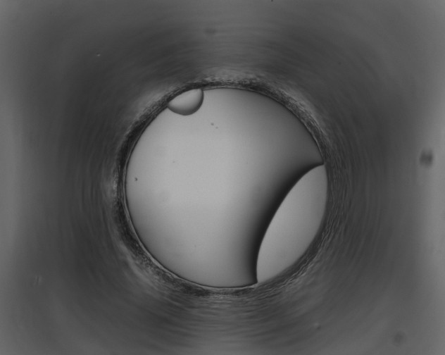 X0000097840636200803140835