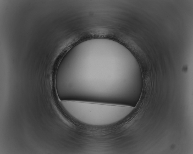 X0000097840638200803140835