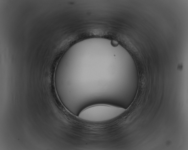 X0000097840639200803140835