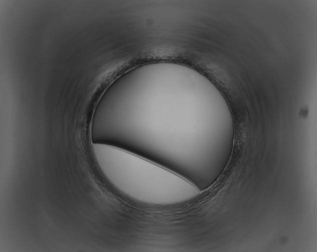 X0000097840640200803140835
