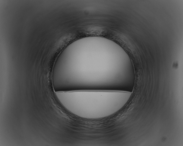X0000097840641200803140835