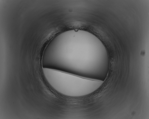 X0000097840642200803140835