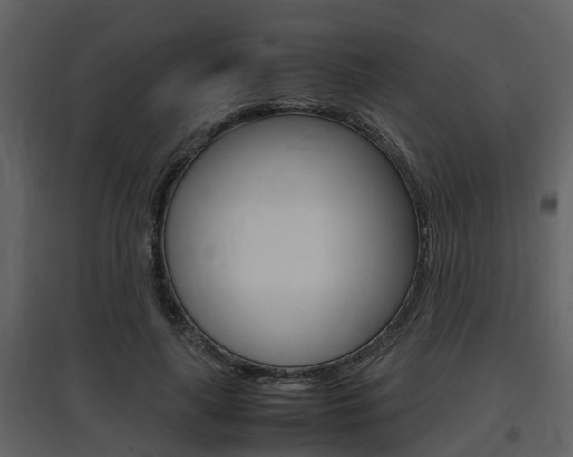 X0000097840643200803140835