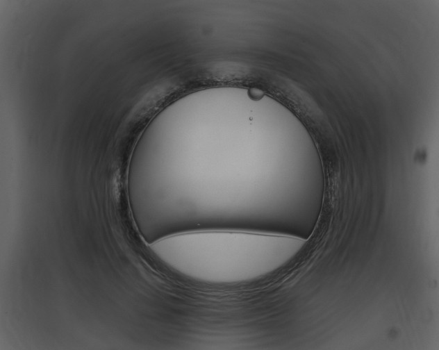 X0000097840644200803140835