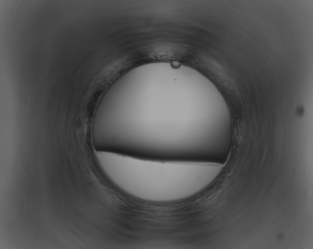 X0000097840645200803140835