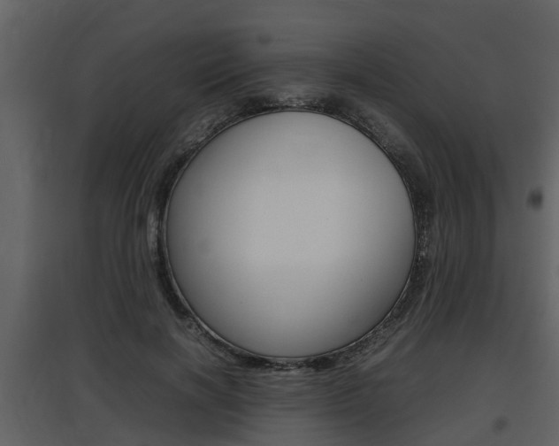 X0000097840646200803140835
