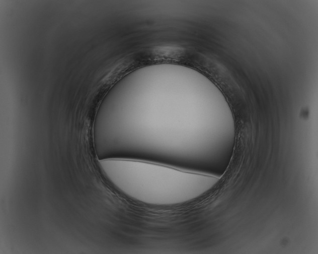 X0000097840649200803140835