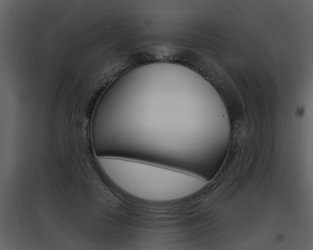 X0000097840650200803140835