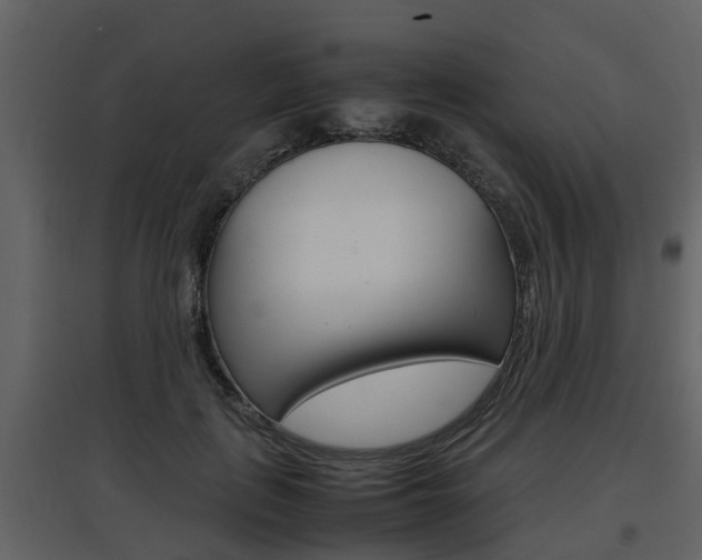 X0000097840651200803140835