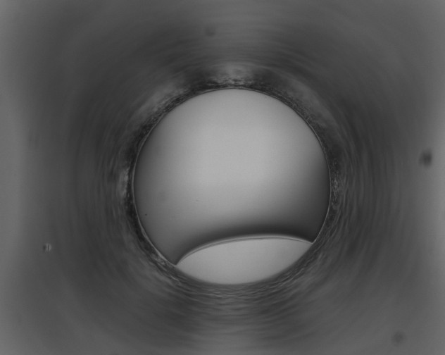 X0000097840652200803140835