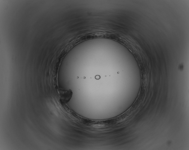 X0000097840653200803140835
