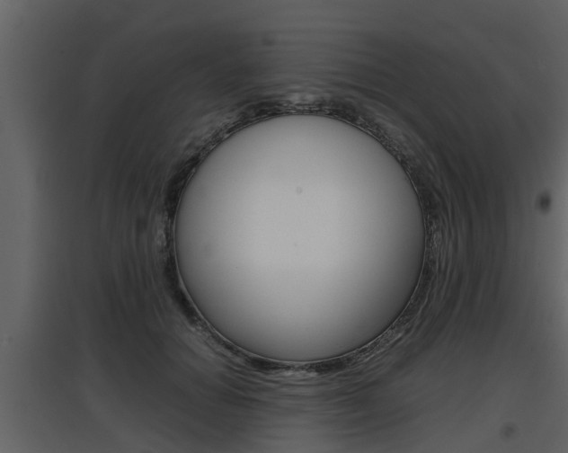 X0000097840654200803140835