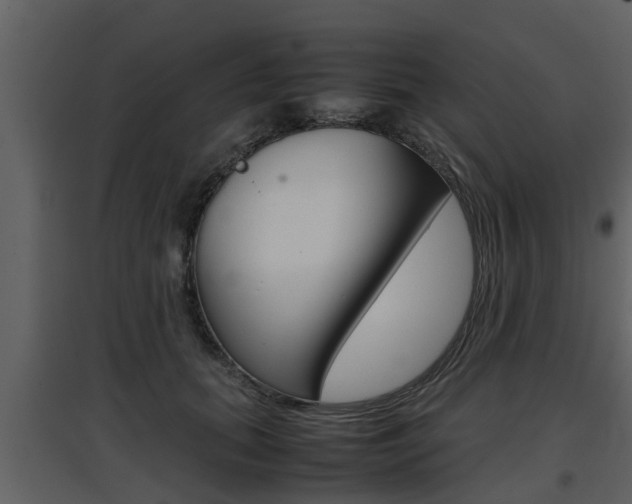 X0000097840655200803140835