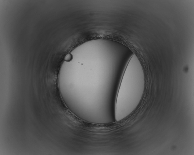 X0000097840657200803140835