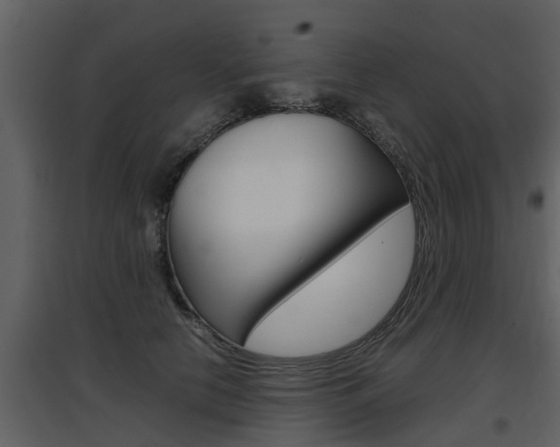 X0000097840658200803140835