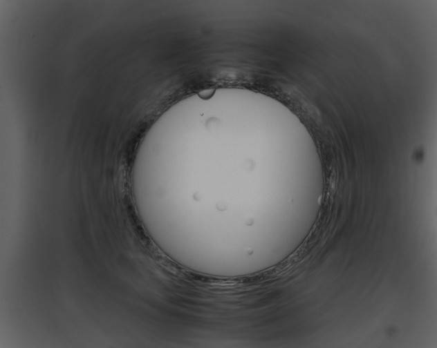 X0000097840659200803140835