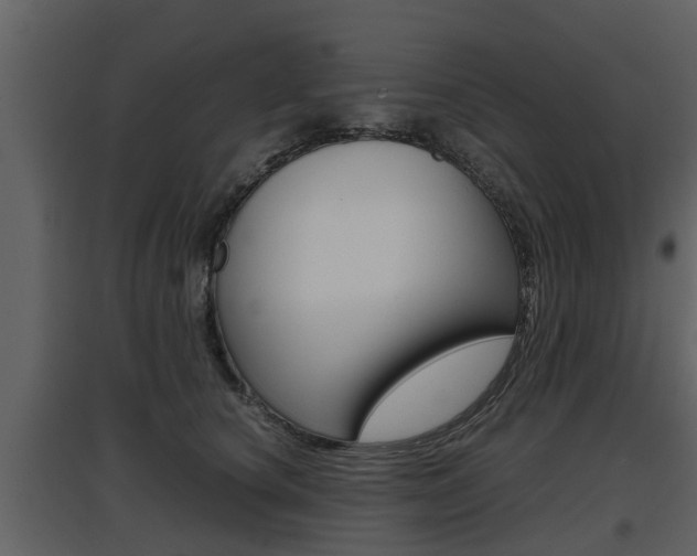 X0000097840660200803140835