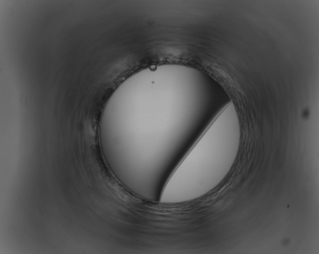 X0000097840661200803140836